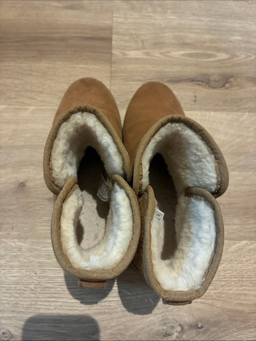 UGG Cozy Lined Boot - Chestnut Brown
